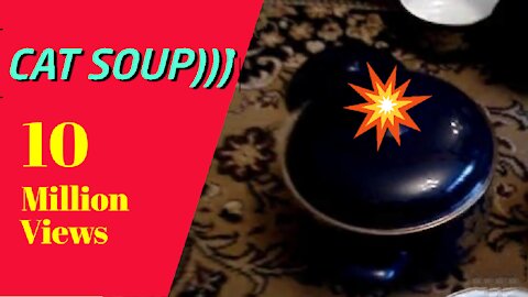 Cat soup)))