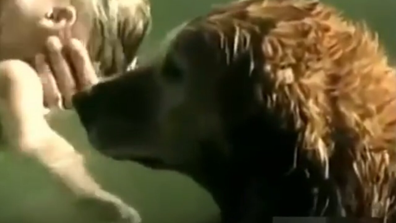 Animal heroes saving humans from danger