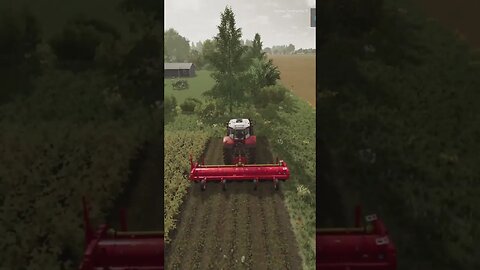 Topping Beets FS22 #shorts