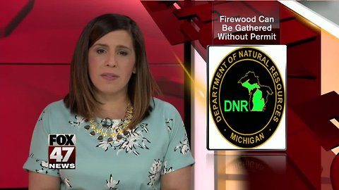 DNR temporarily lifting permit requirements for firewood on state lands