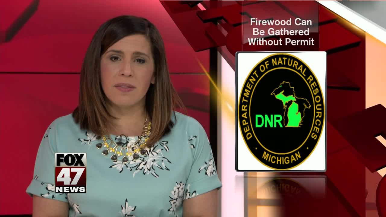DNR temporarily lifting permit requirements for firewood on state lands