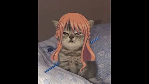 Updates for the channel and where I will be taking it