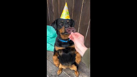 Happy_birthday,_my_lovely_Venza_😈❤️🎉(1080p)