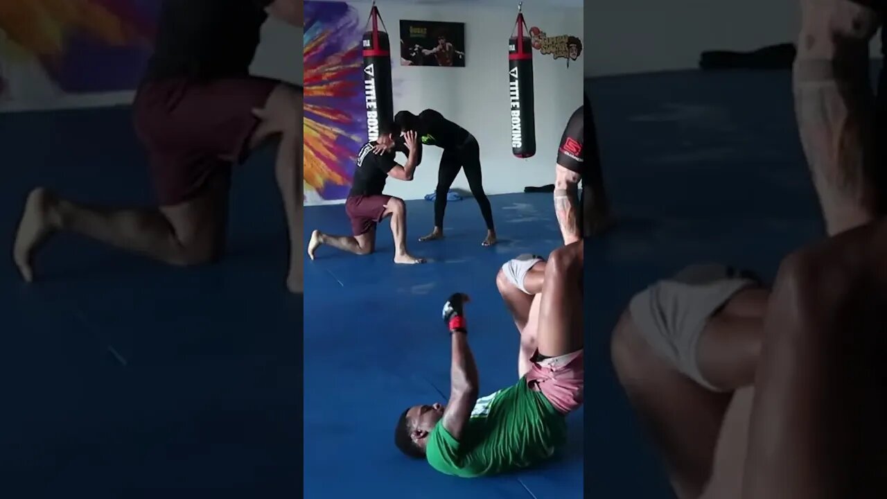 Tim Welch vs Michael Johnson UFC Fighter No Gi Jiu Jitsu