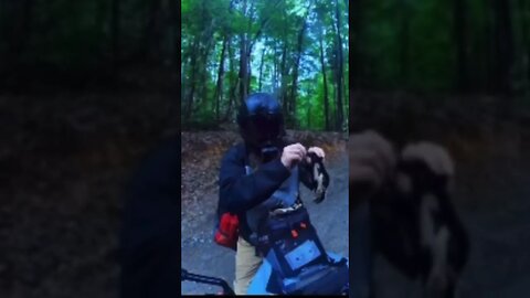 My new BMW F 850 GS adventure sounds amazing