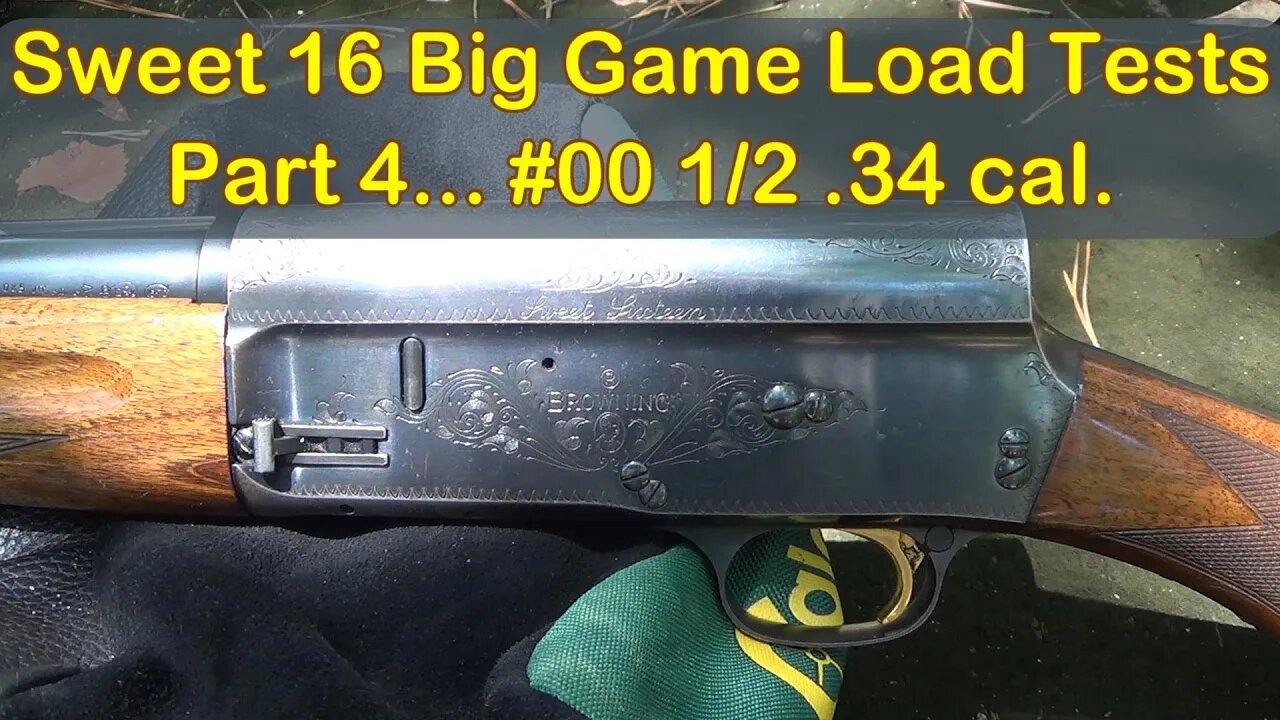 16 Gauge Buckshot Range Tests Part 4! Browning Sweet 16.