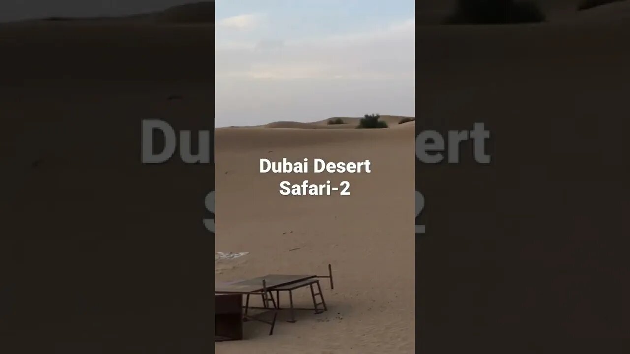 Dubai Desert Safari-2