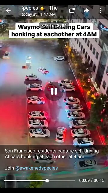 Documentary: Self Driving Cars Honking at Each Other