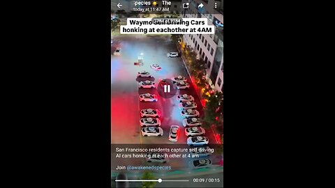 Documentary: Self Driving Cars Honking at Each Other