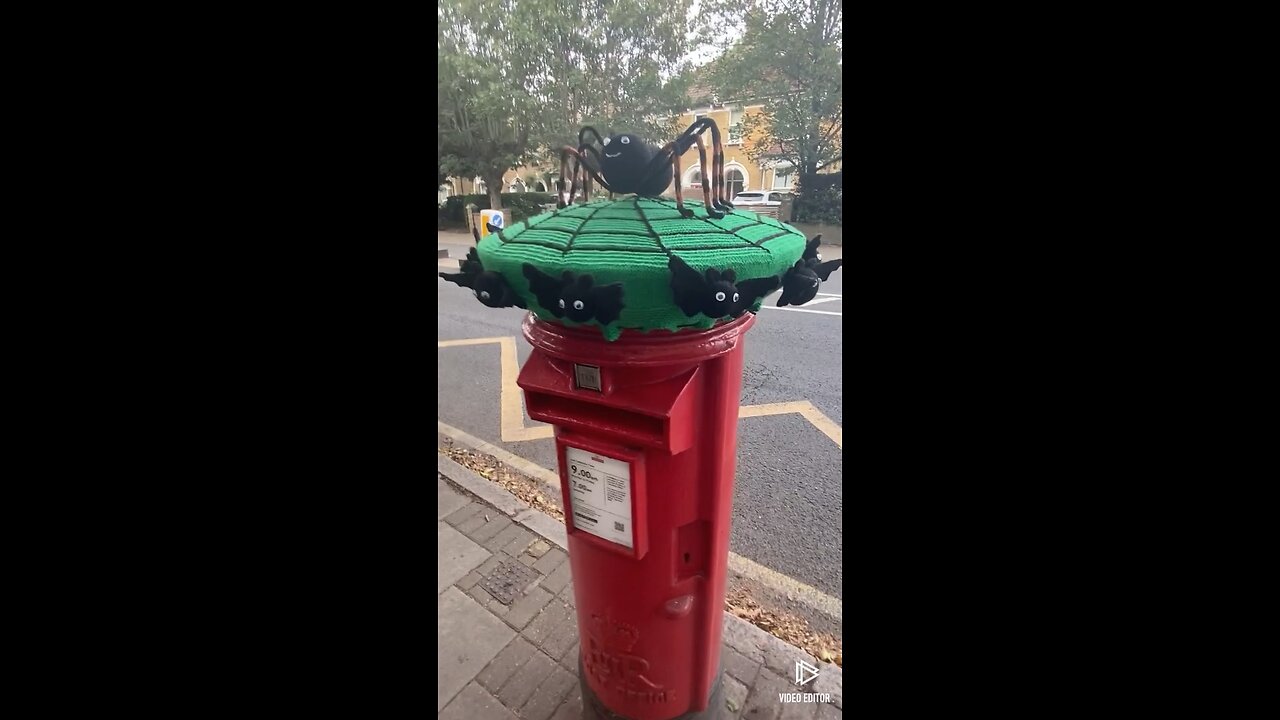 Spider on top of Letter Box