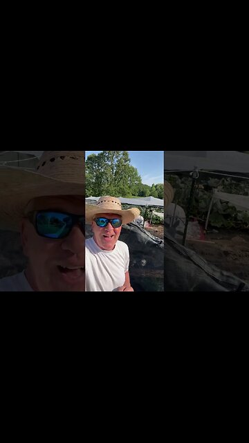 Pumpkin Addict #bubba #addiction #prizewinner