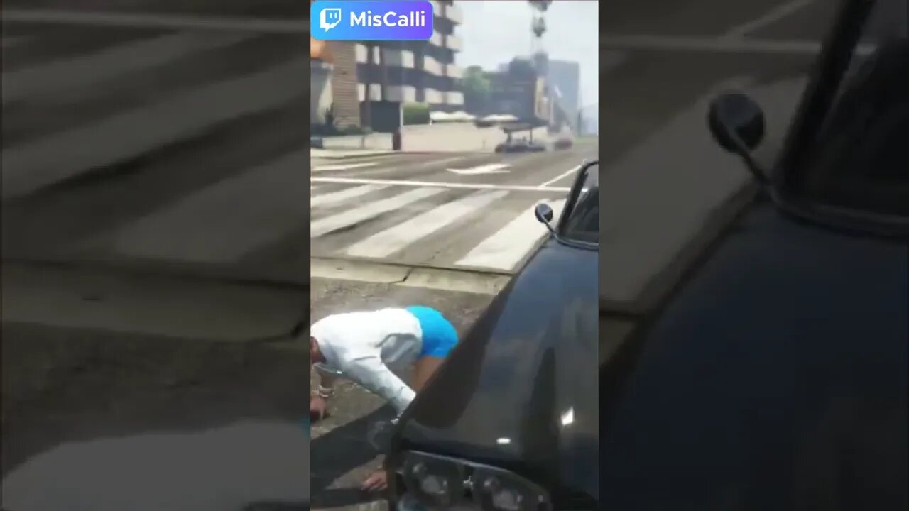 I Was Just Trying To Cross