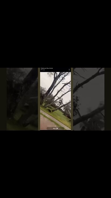 Destruction From Hurricane Fiona ⚠️ #shorts