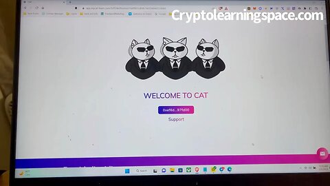 CAT Cryptocurrency Arbitrage? How much?