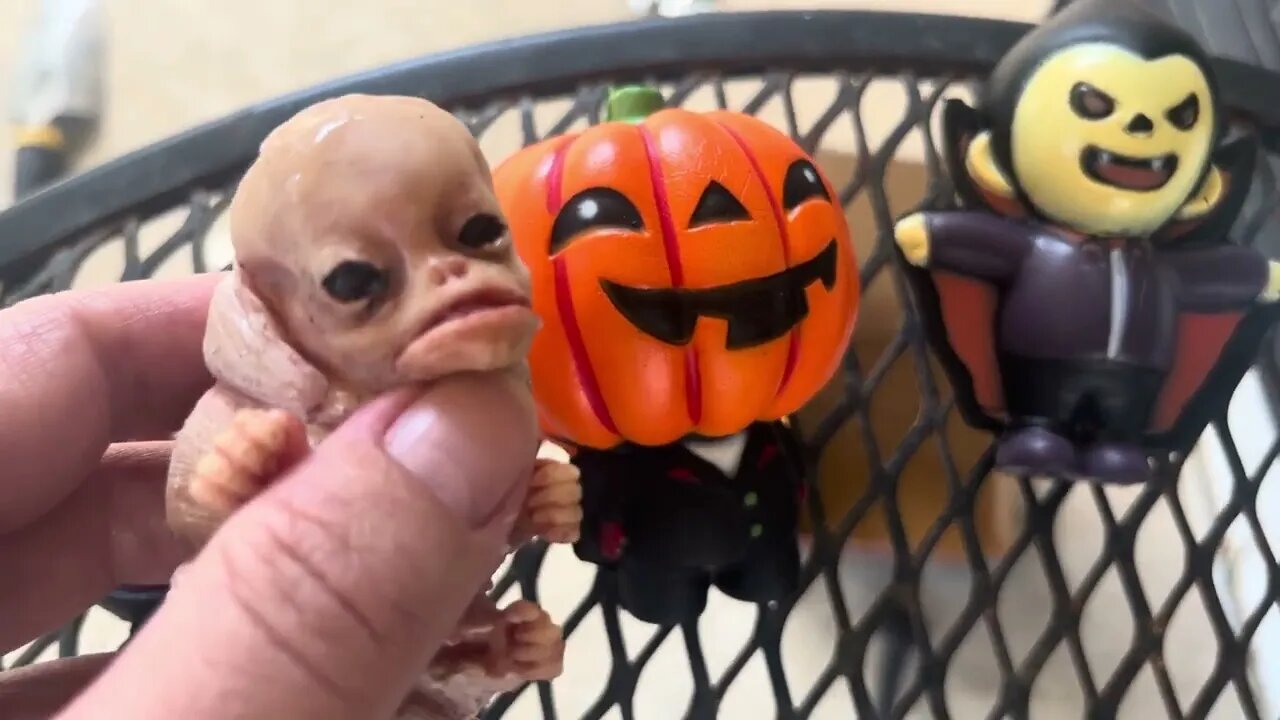 Sasuke meets some Halloween squishies