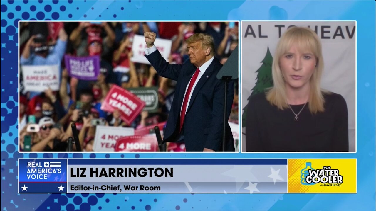 LIZ HARRINGTON: LIBERAL MEDIA IS "DERANGED" ABOUT TRUMP