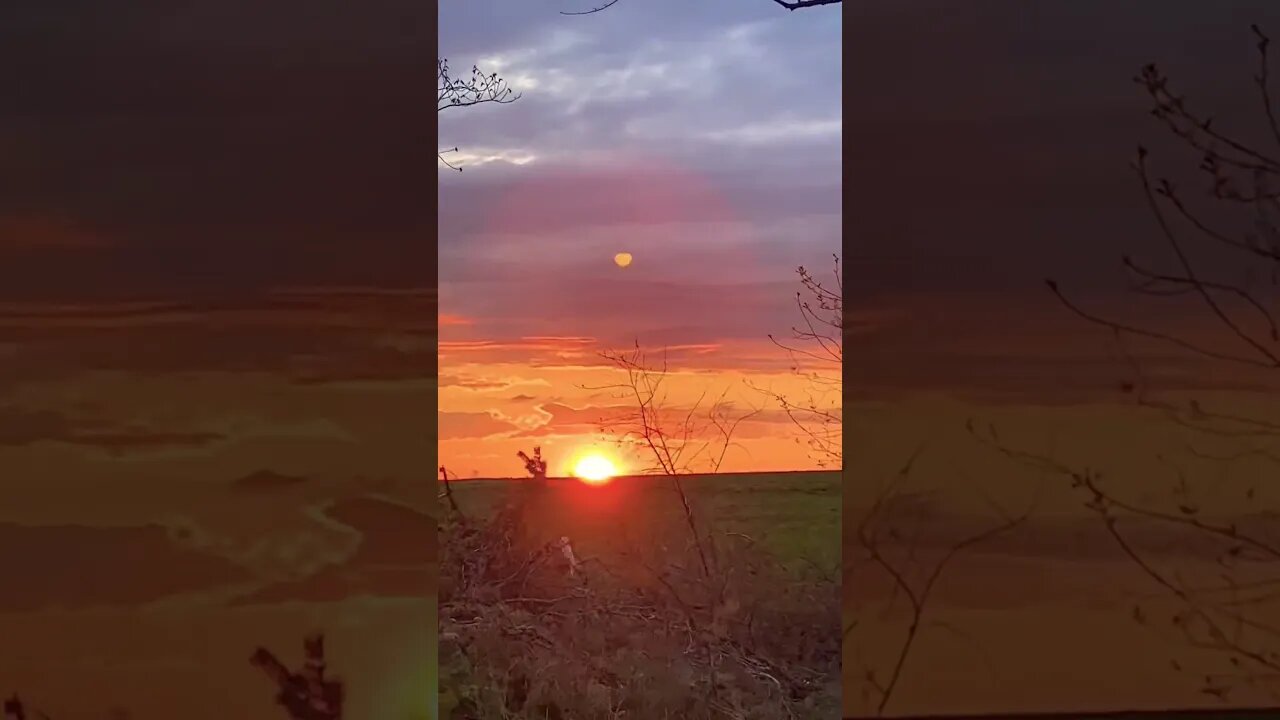 Life is Short, Practice Mindfulness and Reap the Benefits