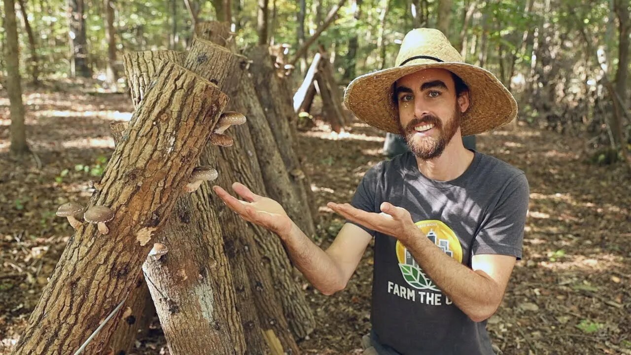 Creating the Perfect Spot for Mushroom Logs