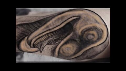Raptors, Robbers, Insects, Serpents wearing Crowns, Twin Female, You TELL ME .. WTW?? Just WATCH