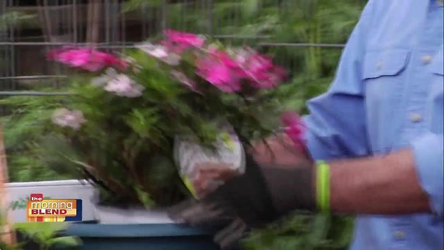 Garden-to-Table