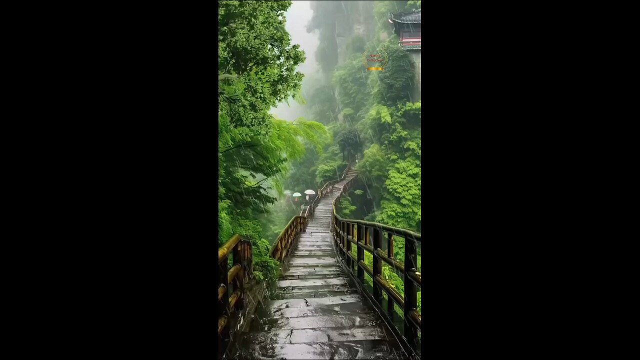 Rainy Day Vibes 🌧️ 🌨️ Nature's Music...