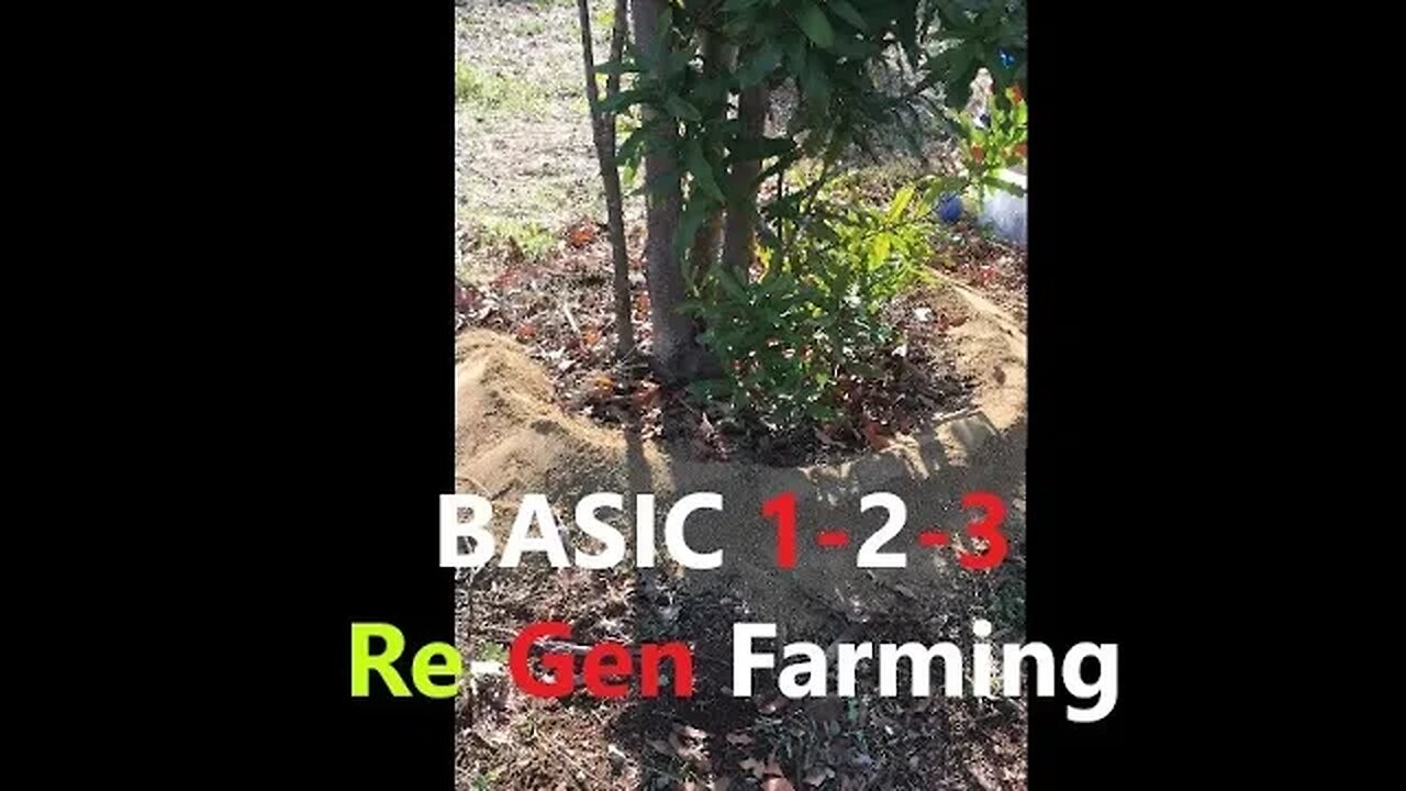 Regenerative Farming Basics 1-2-3 | Macadamia and Citrus Trees | How To! D.I.Y in 4D