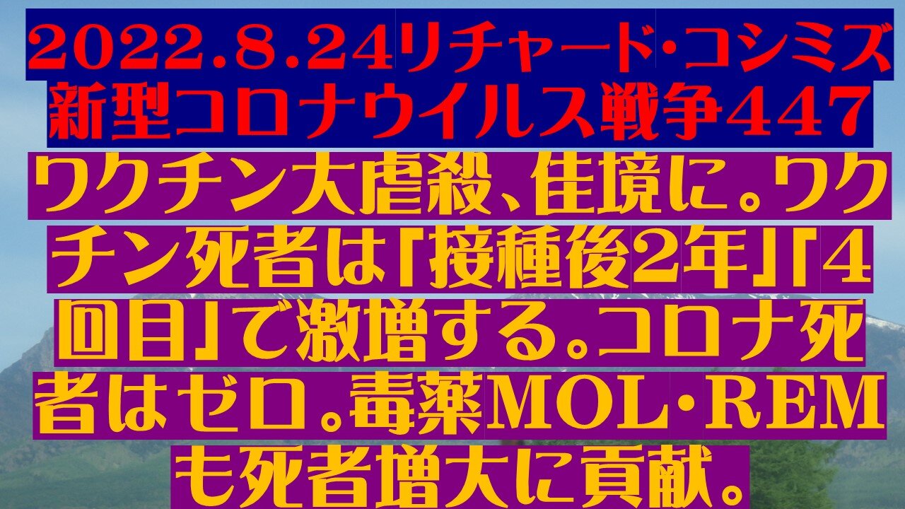 ２０２２．８．２４リチャード・コシミズ 新型コロナウイルス戦争４４７