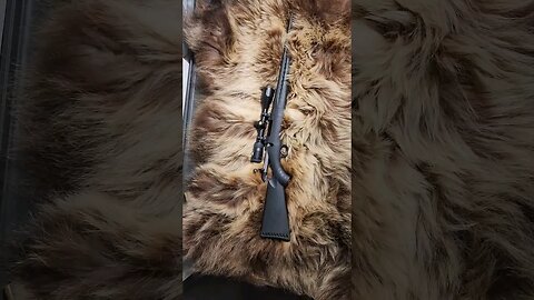 Cheap Ruger American Bolt-Action Hunting Rifle