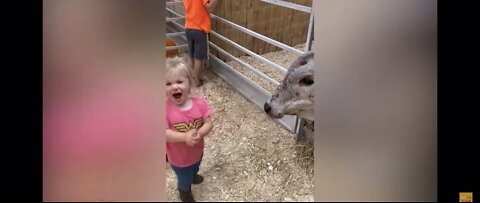 Cute and hilarious baby reactions to feeding animals