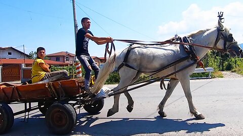 Solo in Sofia's biggest gypsy ghetto 🇧🇬Dangerous?