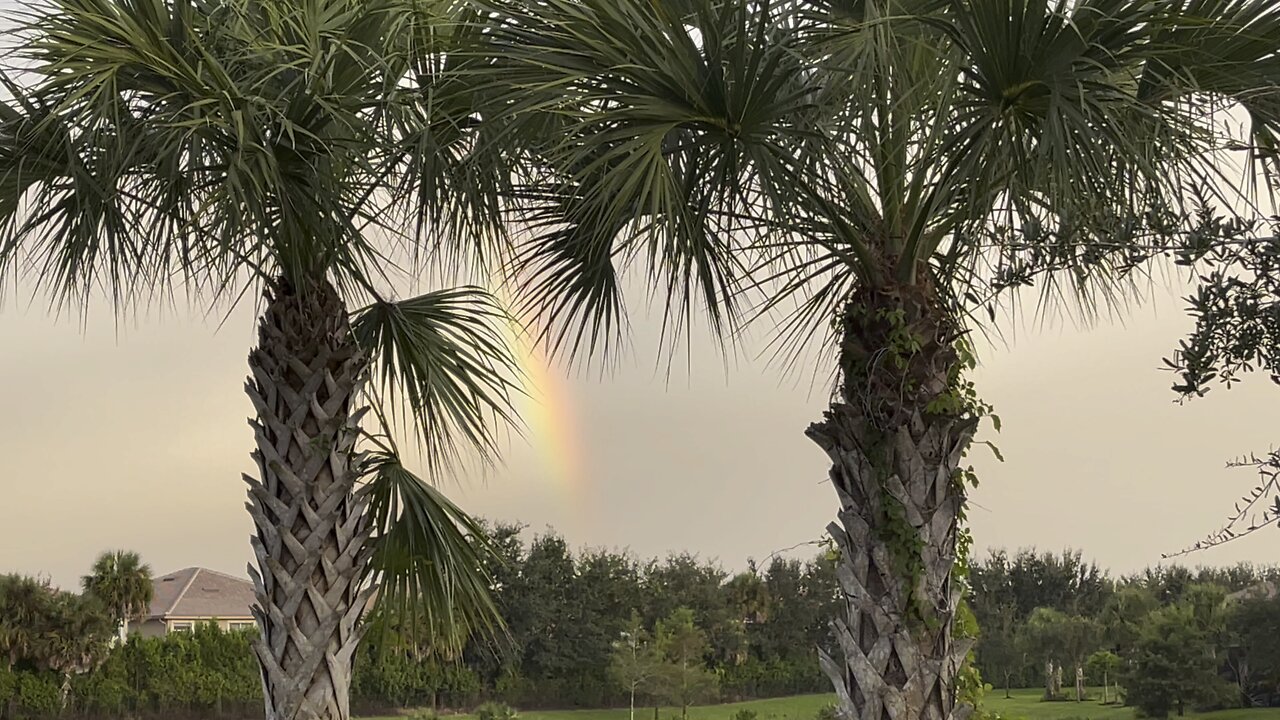 Rainbow In Paradise 4K (Widescreen)