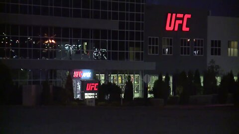 Ultimate Fighting Championship playing a big part in brain health study