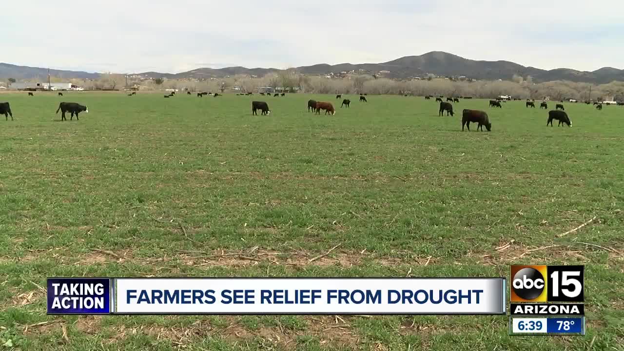 Arizona farmers see relief from drought