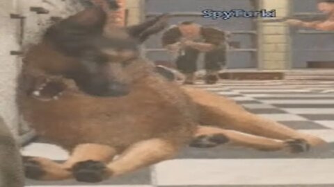 i died to a good boi