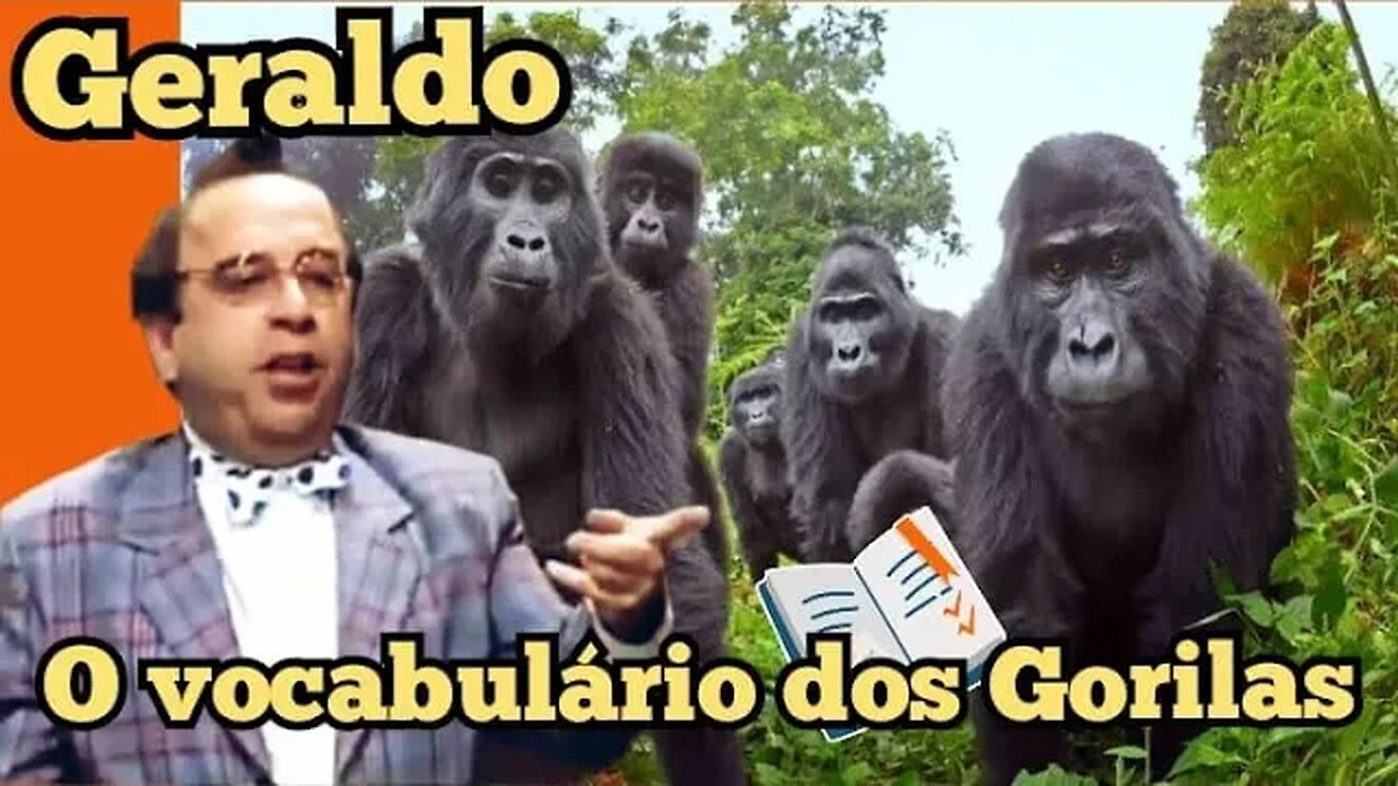 Escolinha do Professor Raimundo; Geraldo, Trabalho sobre o vocabulário dos gorilas.