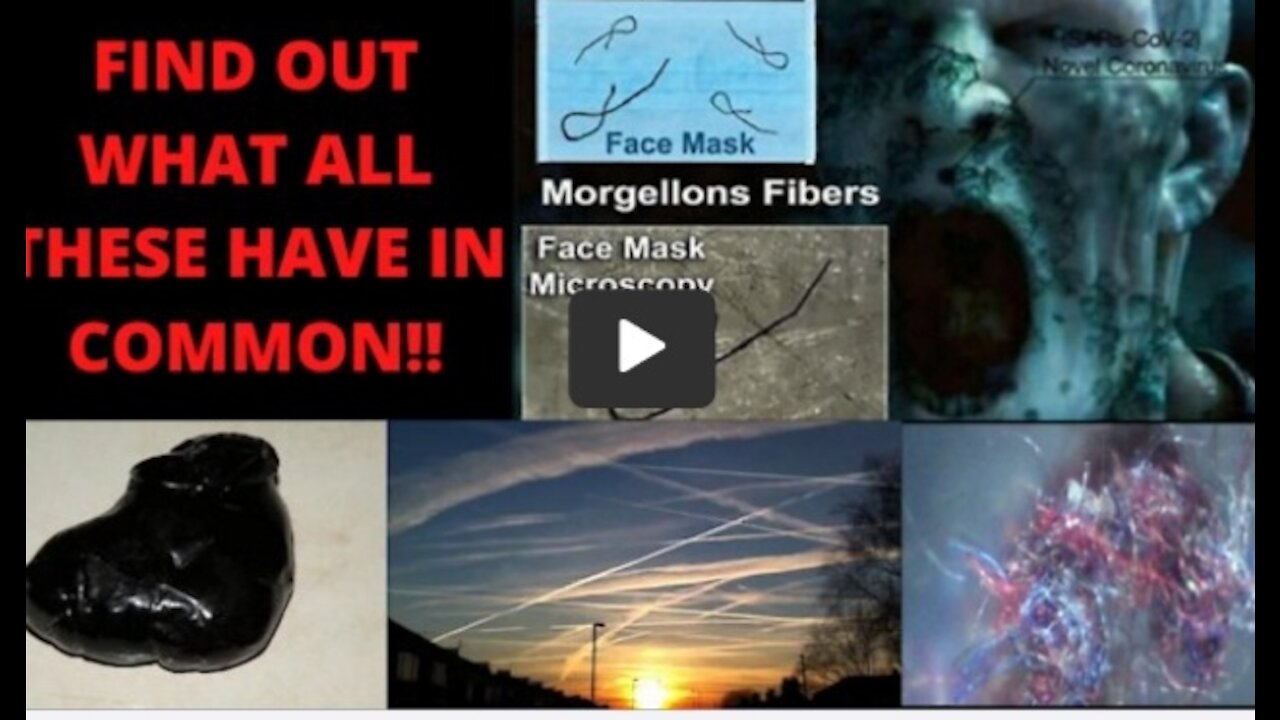 Harald Villa Black Goo, Morgellons, Chemtrails, Presentation