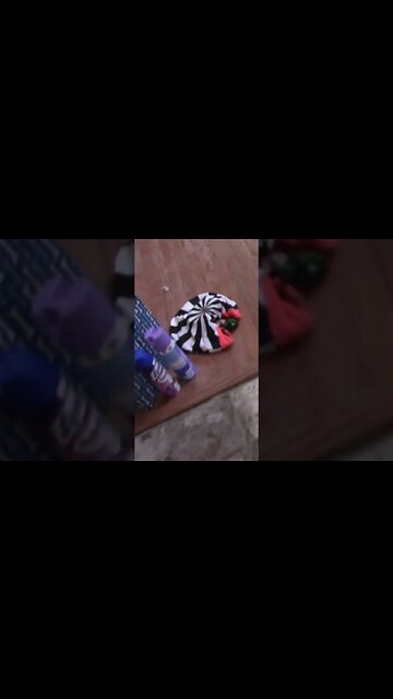 Franklin The Frog #Shorts 🌲