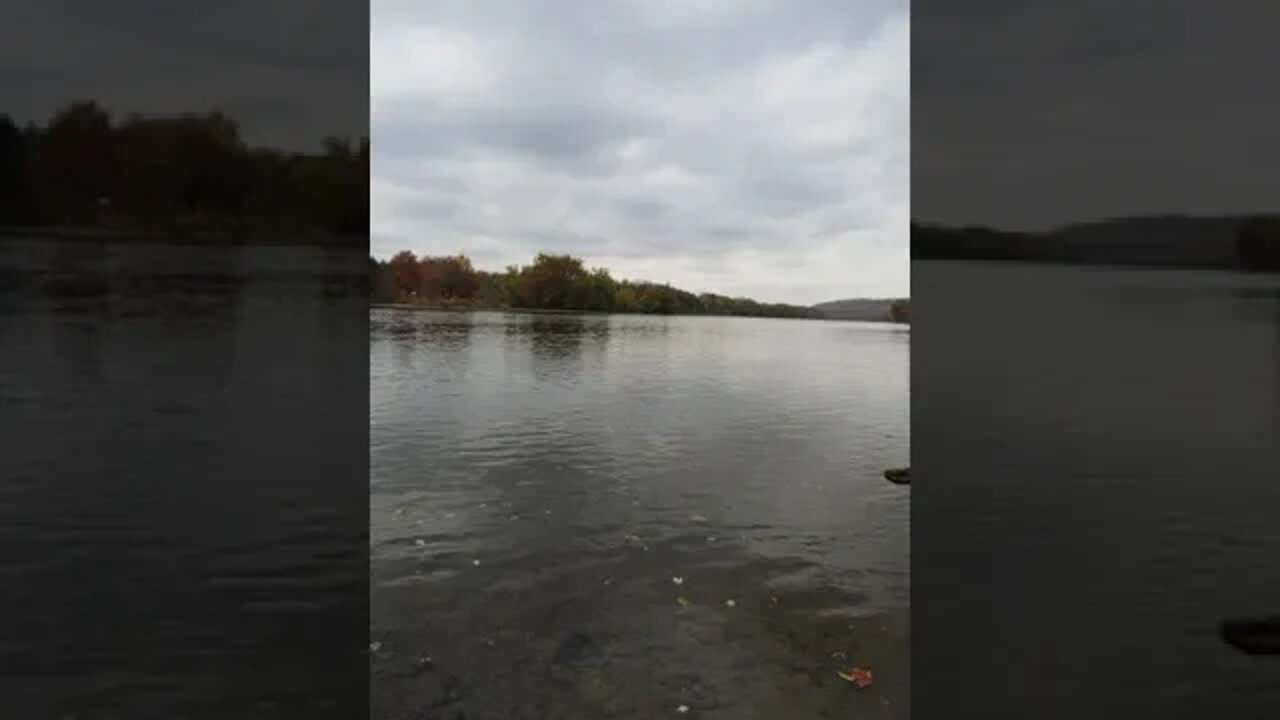 Dis Washington really cross the Delaware?