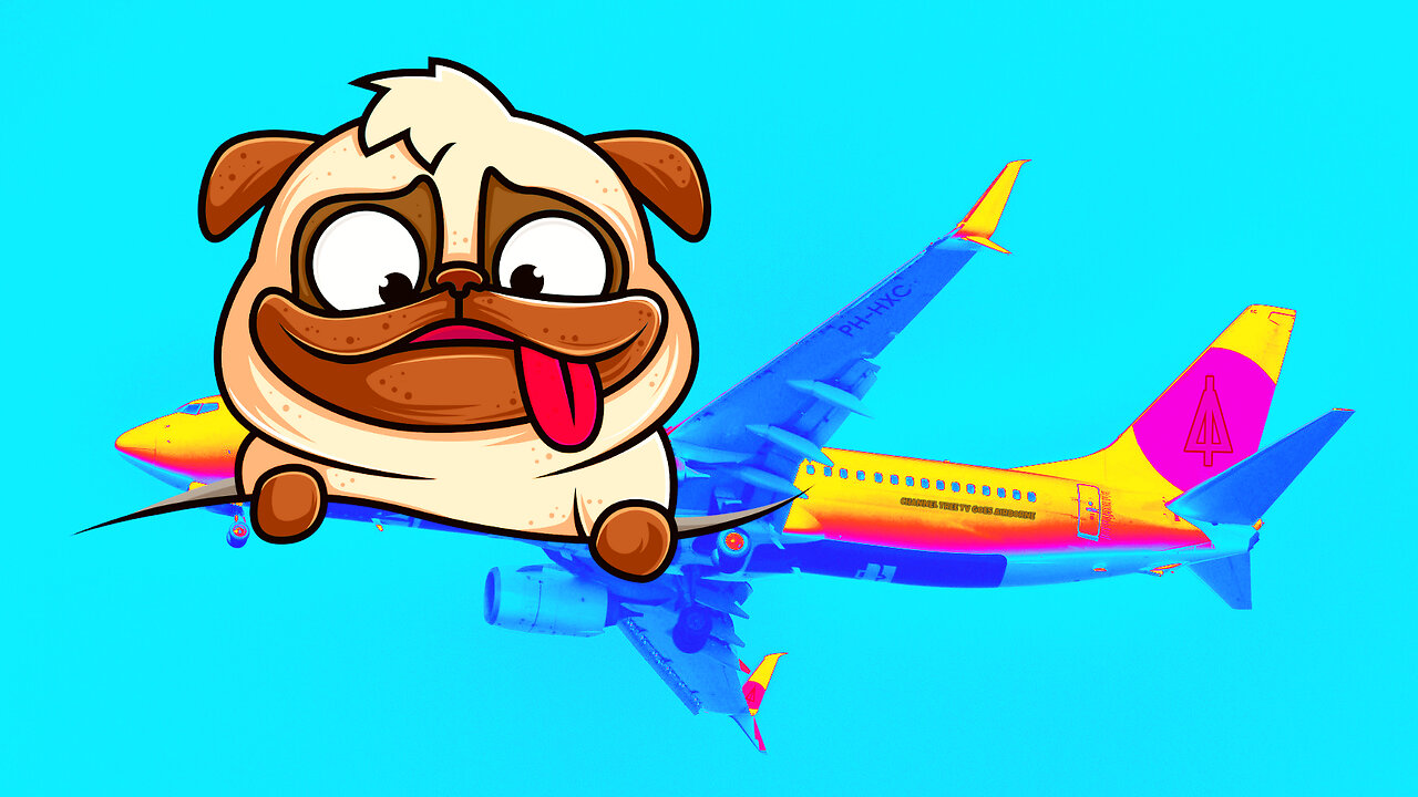 A dog ate MAGIC Mushrooms & did WHAT?!