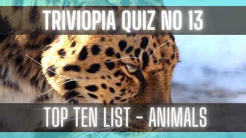 Quiz - Top 10 List | Animal Kingdom | Difficulty - Moderate | Trivia