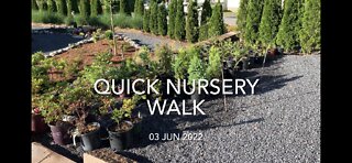 Quick Nursery Walk 6/2022