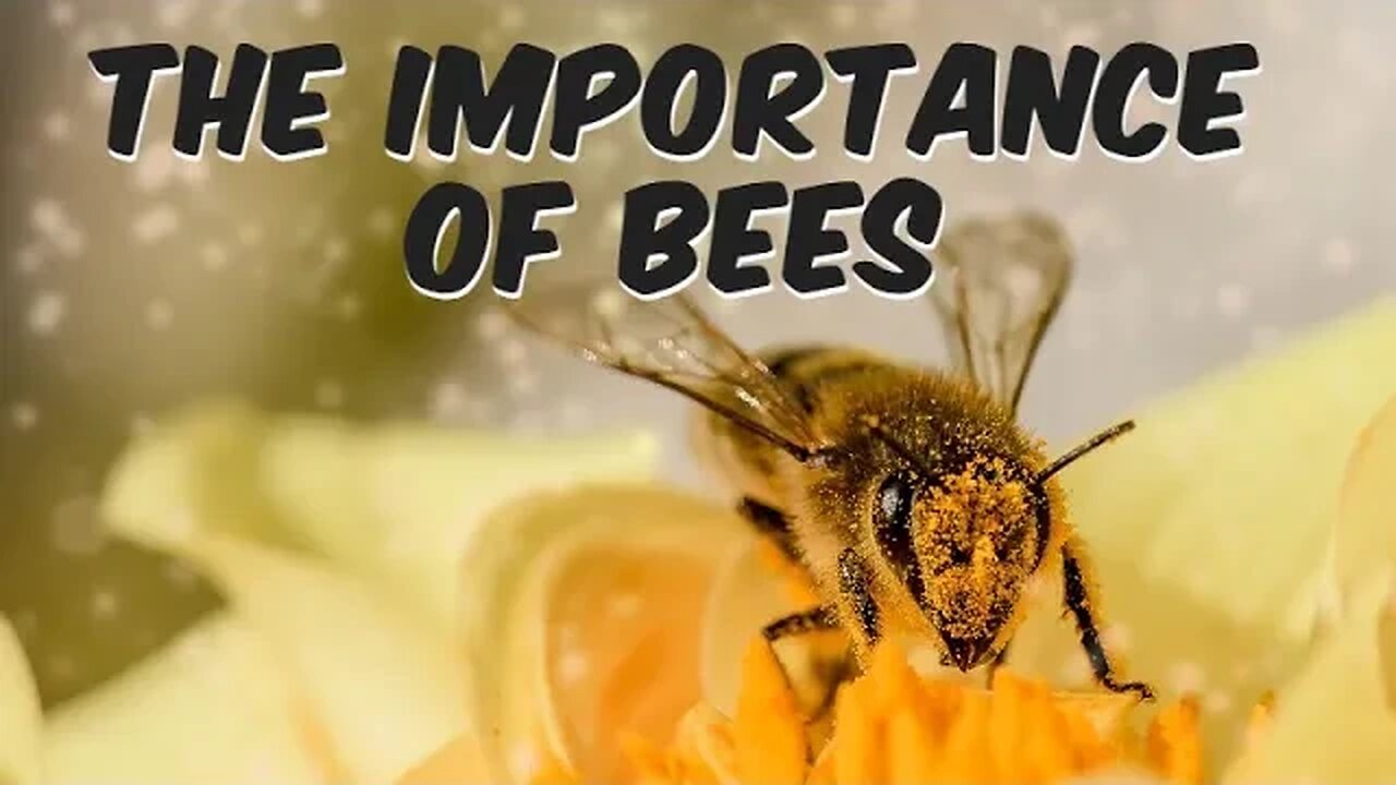 The Importance of Bees