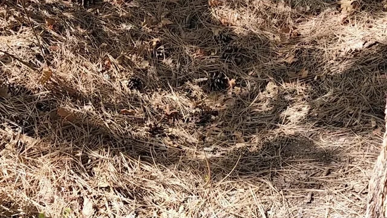NAH Evidence Found in Active Area