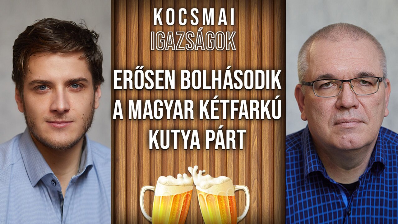 Erősen bolhásodik a Magyar Kétfarkú Kutya Párt | Kocsmai igazságok