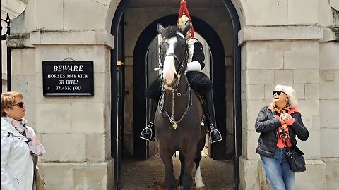 She jumped when the Reins we're pulled away #horseguardsparade