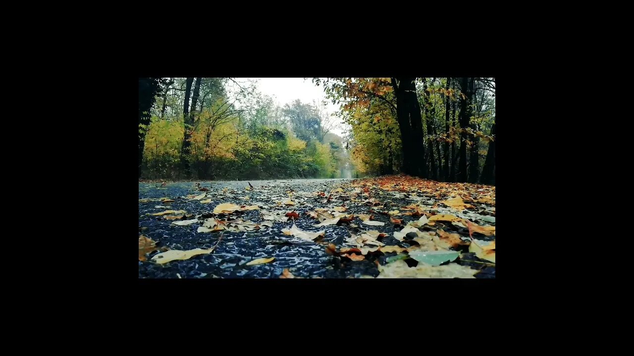 FIVE HOURS OF RELAXING RAIN SOUND. GOOD FOR RELAXATION, MEDITATION AND SLEEP.