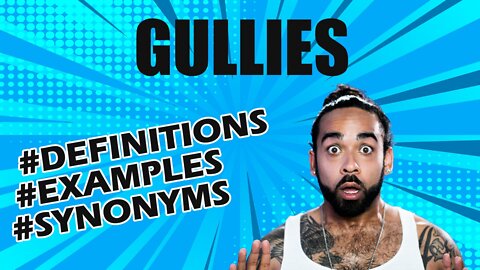 Definition and meaning of the word "gullies"