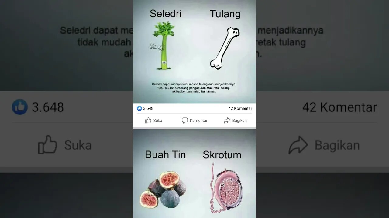 makanan untuk kesehatan #shorts