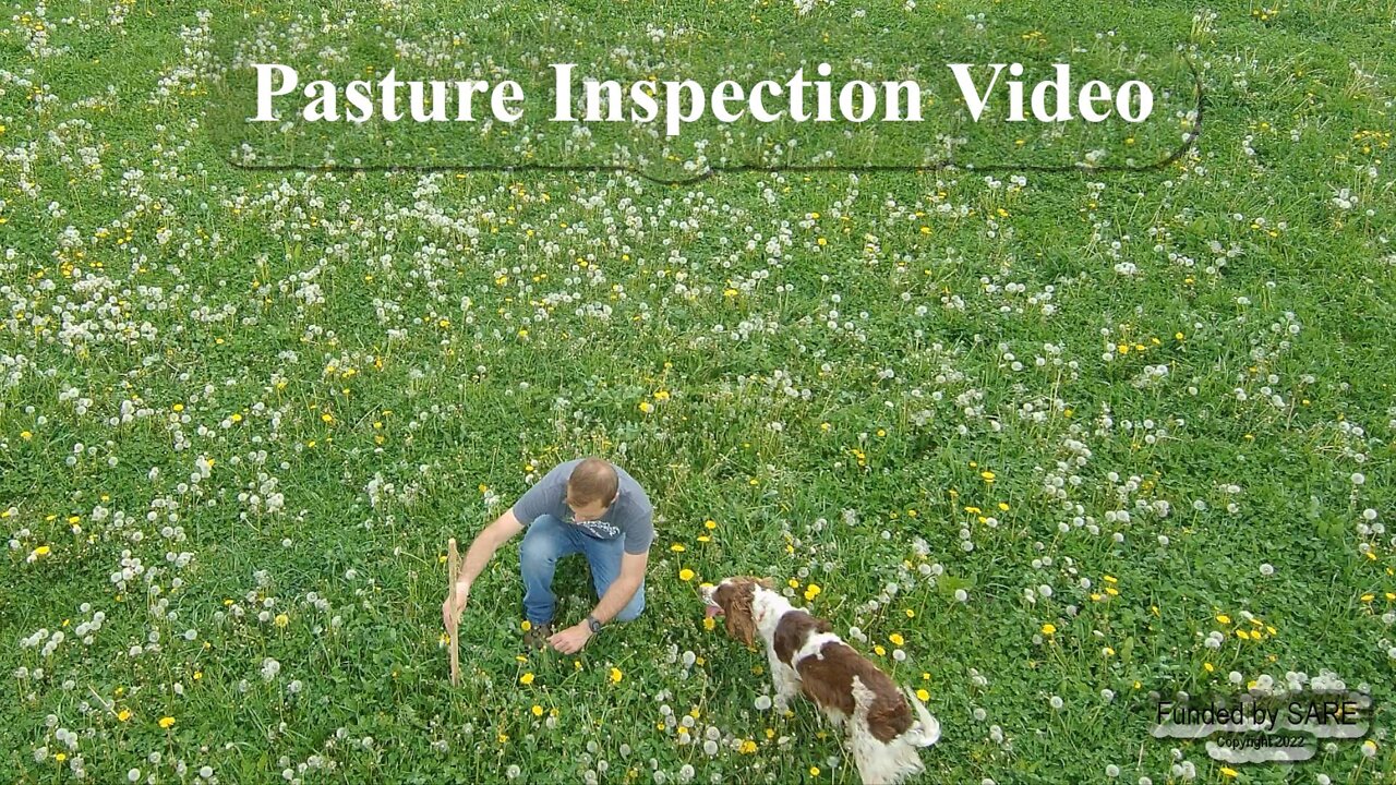 Pasture Inspection Video