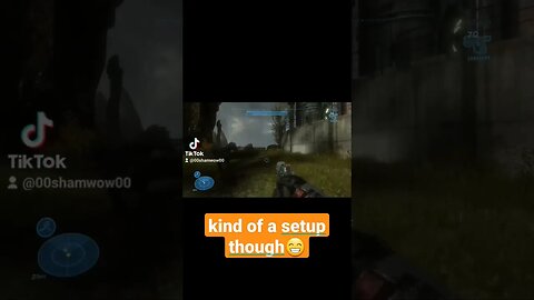 The Emu Variable #gaming #gameplay #humor